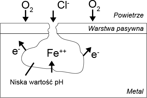 schematic of metal rusting